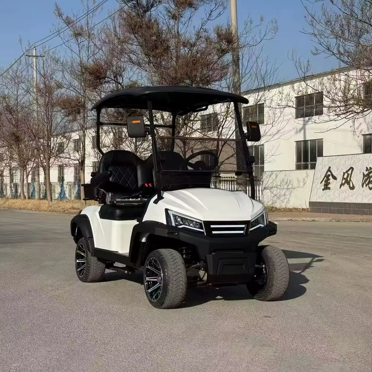 New Model Yamaha 6 Seater Golf