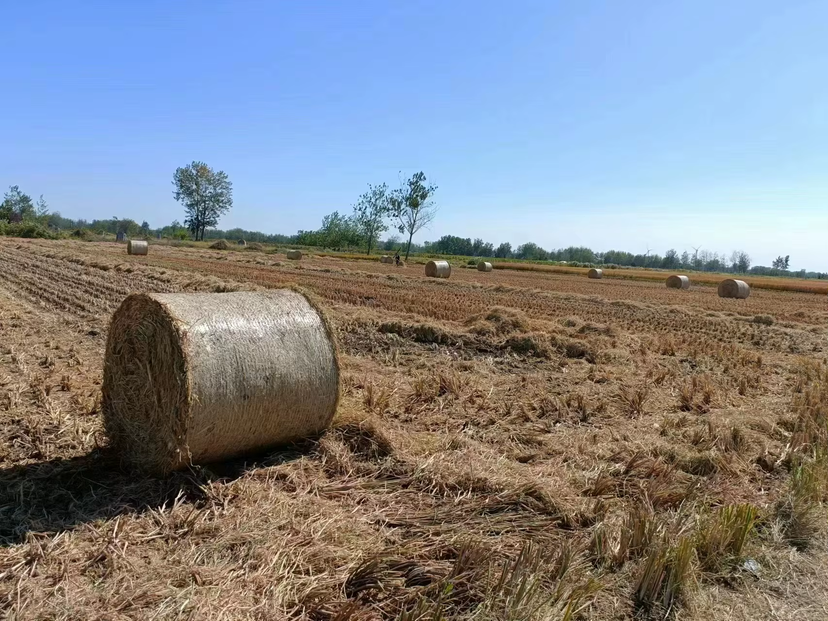 Tractor Hay Straw And Grass Press