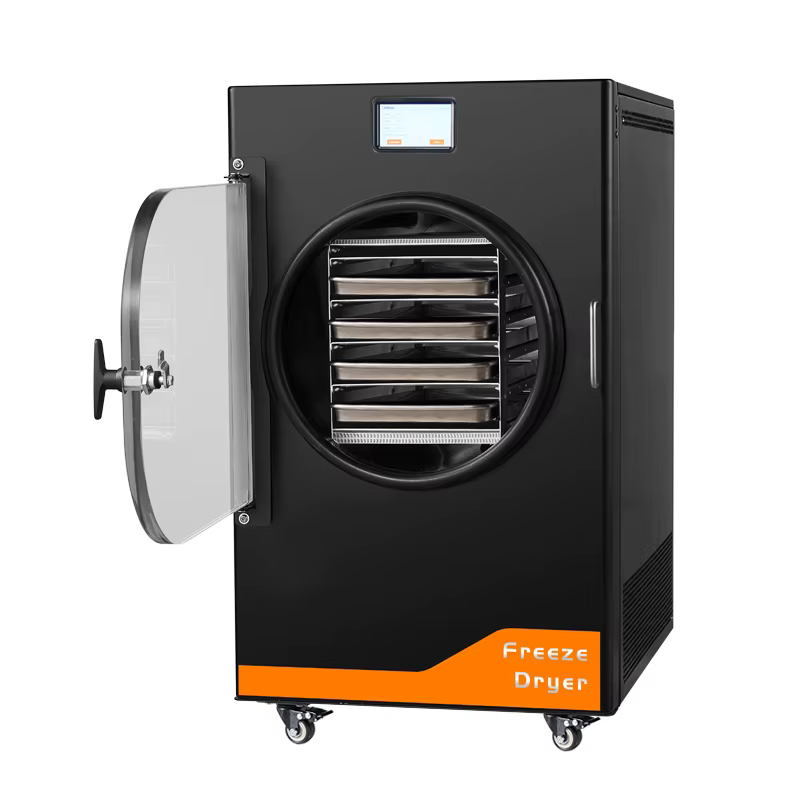 4kg Easy to Use 220V 110V Lyophilizer Home Vacuum Freeze Dryer Machine for Food and Coffee
