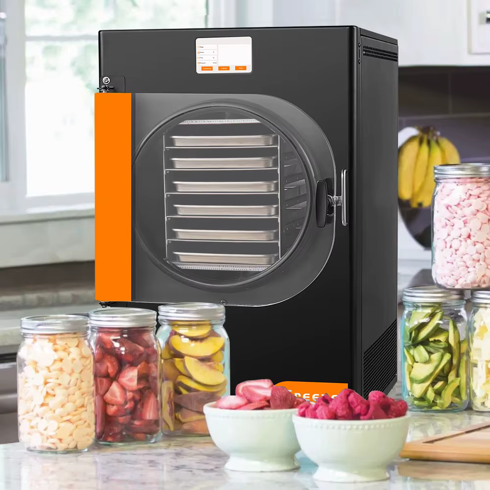 10 Kg Vacuum Freeze Dryer Freeze Dryer Machine for Meat Pet Food Freeze Fruit Dryer