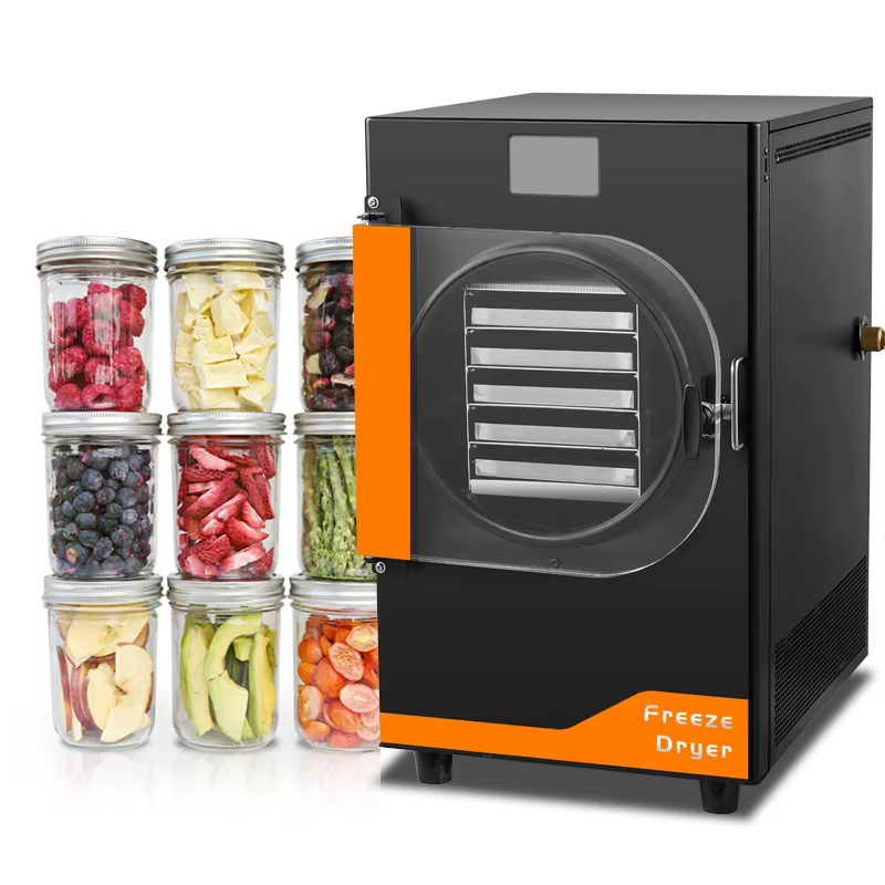 DALLE Wholesale 4-6kg Freeze Dryer Machine for Home Use Automatic Food Processing with Competitive Price and Pump Components
