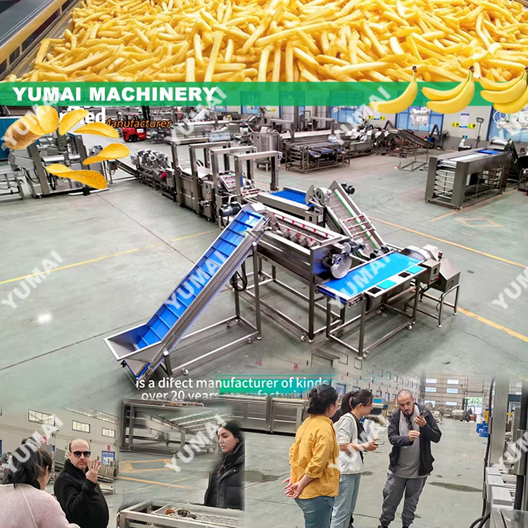 300kgh 500kgh Gas Heating Fully Automatic IQF Freezer Tunnel Frozen French Fries Making Production Line