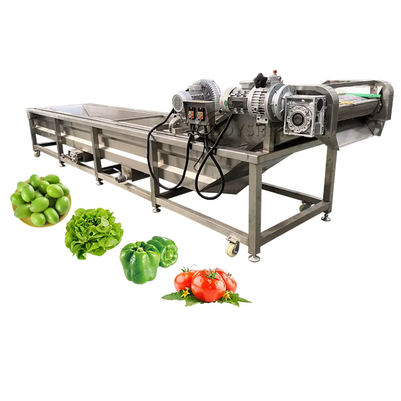 JOYSHINE Machinery Factory Supply Industrial Guava Citrus Fruit Brush Ozone Disinfecting Bubble Washing Production Line