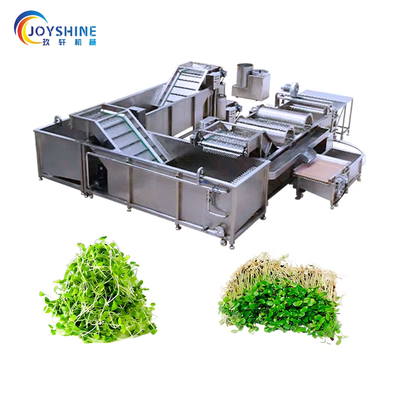 Joyshine 2025 Factory Price Industrial Grade Vegetable Washing Equipment Production Line Suitable for Mass Production