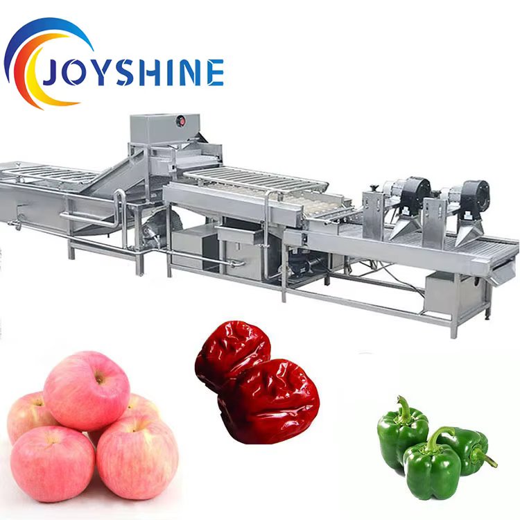 JOYSHINE Group Exported to USA 500kg Per Hour Washing Production Line mango Washing Machine