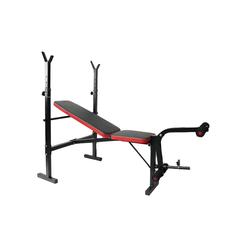 Factory Price Home Training Fitness Gym Workout Benches Weight Lifting Adjustable Squat Dumbbell Benches With Bench Press