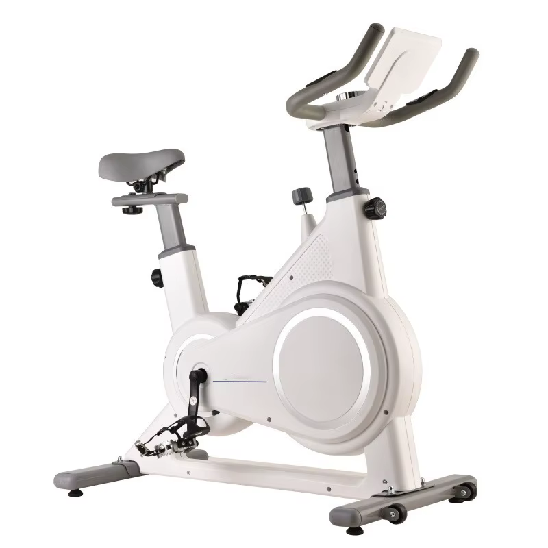 Cardio Training Professional Electric Magnetic Spin Bike Home Bicycle Workout Gym Exercise Spinning Bike