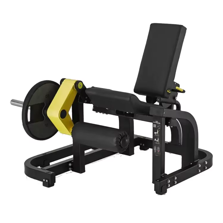 XR FW11 Steel Hanging Plate Gym Equipment for Universal Leg Extension Exercise-Shandong Origin