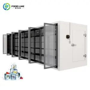 Hot Sale 20ft Container Cold Storage Room for Fish Storage Solar Powered Freezer Container