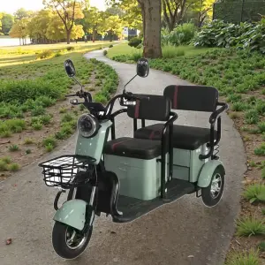 New Arrival 1000 W Brushless Electric Tricycle EEC Electric Scooter with Open Body 60v Solar Steel Frame 3 Wheels