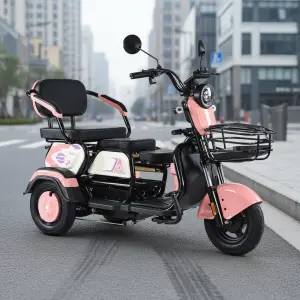 Electric Three Wheel Tricycle E-bike 3 Wheels Rear Hub Motor 3 Speed 48V 600W Steel Frame Lead-Acid Battery