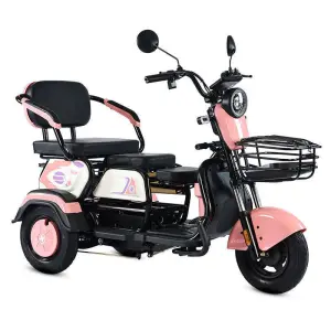 High-end New Electric Tricycle with Open Body for Passenger Transportation 48V Voltage 3-Speed Steel Frame Rear Hub Motor