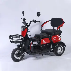 Factory Wholesale Price Fashionable Casual Multi-functional Adult Double-seater Electric Tricycle Rear Hub Motor 48V Steel Frame