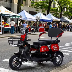 Three-Seat Electric Tricycle Supplier 3-Wheel Rear Hub Motor Lead-Acid Battery 600-1000W 31-60km Range