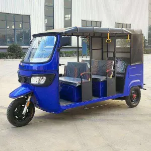 60V 7-Passenger Brushless Rear Hub Motor 3-Speed Steel Frame Lead-Acid Battery Canopy Remote Electric Tricycle