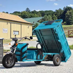 China Motor Family 3 Wheel Cargo Trike Electric Tricycle Carrying Cargo Electric Truck