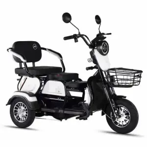 Electric Pedicab Three-Seater Steel Frame Tricycle with Rear Hub Motor 3-Speed Lead-Acid Battery 600W 48V