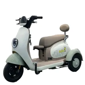 Spacious Seats 3 Wheels 3 Speed 48V 13.4Ah Adult Electric Scooter Tricycle with Brushless Motor Carbon Steel Frame