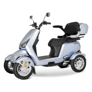 Model Electric Freight Tricycle Rear Hub Motor Steel Frame 1000W Brushless Long Range High-quality Excellent Performance