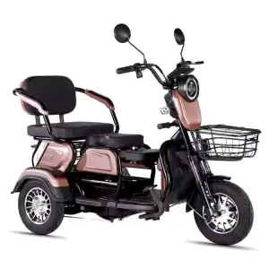 Reliable 600W 60V Brushless 3 Speed Electric Pedicab Rear Hub Motor Aluminum Frame 3 Wheels Lead-Acid Battery