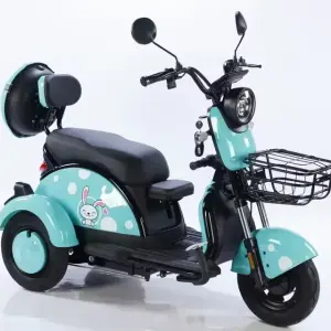 High-end Cheap Electric Tricycle 3 Wheels 3 Speed Brushless Motor Carbon Steel Frame LCD Display 3-person for Adults