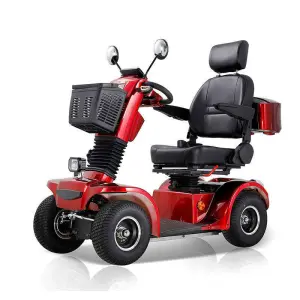 Spacious Seats 3 Wheels 3 Speed 48V 13.4Ah Adult Electric Scooter Tricycle with Brushless Rear Hub Motor 800W Carbon Steel Frame