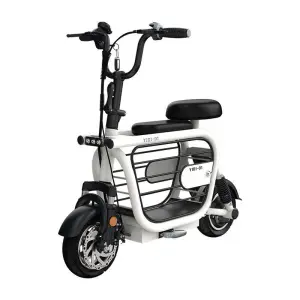 Three-seat 48V Carbon Steel 6-Speed with Rear Hub Motor and Lead-Acid Battery 3 Wheels Electric Tricycle