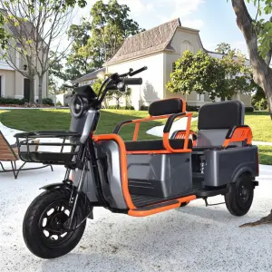600W Rear Hub Motor 48V 3-Speed 3-Wheel 3-Seater Steel Frame Lead-Acid Battery Electric Tricycle