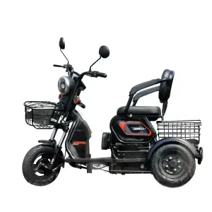 Brushless Logo Customizable Three-wheel Long-range Heavy-duty Electric Tricycle with 3-Speed Rear Hub Motor and Steel Frame