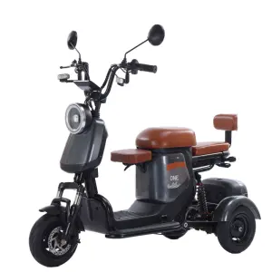 Wholesale 800W Brushless Aluminum 3 Wheeled Electric Tricycle Bike with Rear Hub Motor 60V 20Ah Battery for Family Use Adults