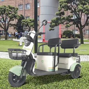 Wholesale Double-person Electric Tricycles with Two Rows of Passengers Adult Three-wheeler Brushless Motor Carbon Steel Frame