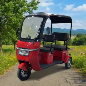 New Adult Electric Tricycle 3-Wheel Open Body 60V 6-Speed Brushless 500W-800W Lead-Acid Battery 25-30km/h Max Speed