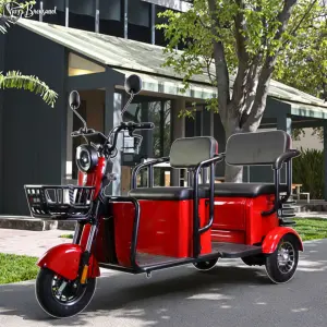 New Arrival 1000 W Brushless Rear Hub Motor Electric Tricycle EEC Scooter with Open Body 60v Solar Steel Frame 3 Wheels
