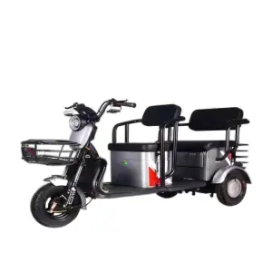Cheap Tricycle 3-wheel Electric Freight Bicycle, Household Small Scoote RLead-acid Battery Steel-made Electric Tricycle