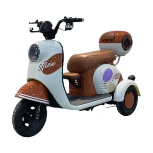 48V Electric Tricycles for Adults 3 Wheels Steel Frame Rear Hub Motor 3 Speed Fashionable Urban Commuting Reasonable Prices