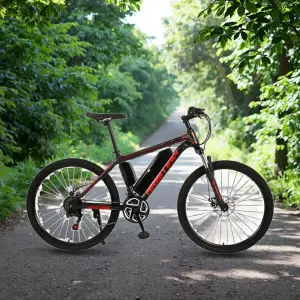 Electric Bike Factory Direct Sale Rear Hub Motor Disc Brake Brushless Mountain Bike
