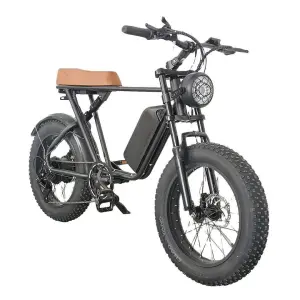 Electric Bike Man 750W Aluminum Alloy Electric off Road Bike 20 Inches Fat Tire 7 Speed Electric Bike off Road
