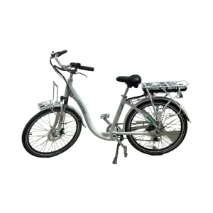 350W Lithium Battery Green Urban Electric Bicycle Ladies' Electric Bicycle