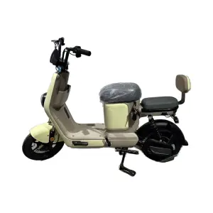 Hot Selling New Style Electric City Bike with 500W Brushless Motor and Removable Lithium Battery Electrically Bicycle