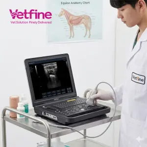 Portable B W Ultrasound Scanner for Veterinary Use with Animal Pre-set Modes for Cat Dog Cattle Horse