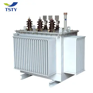 IEC IEEE Standard Three Phase  100kva 6.6kv 400v Oil Immersed Transformer 50/60Hz