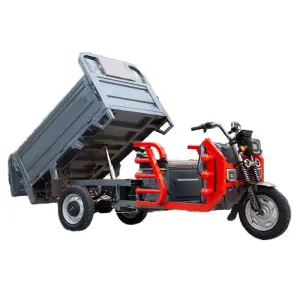 Open Carrier Electric Tricycle Motorcycle with Big Box Size Range for Cargo Delivery 3 Wheel Electric Cargo on Sale