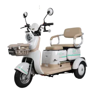 Wholesale 48v High Quality Adults Battery Powered Electric Tricycles 3 Wheel Trike for Sale