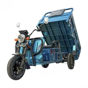 Cargo Delivery 3 Wheel Electric Tricycles Electric Three Wheeler Cargo 1000W Electric Trike Scooter Cargo Bike for Transport