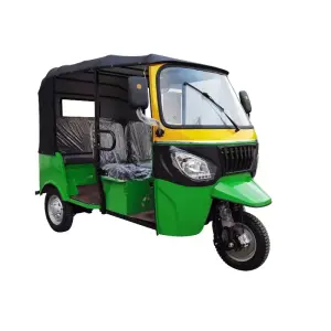 Petrol Tuk Tuk Petrol Tuktuk Tricycle Motorcycle Other Tricycles for Passengers
