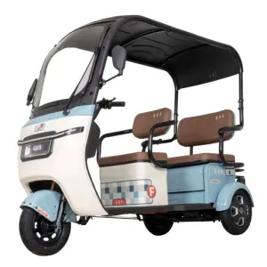 Passenger Small Trike New Style Leisure Tricycle with Cover in China Factory Direct Sale 3 Wheel ELectric Tricycle