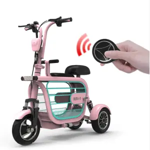 OEM Factory Electric Tricycle Supplier Three Wheels Electric Bike 48V 400W Ebike Electric Bicycle