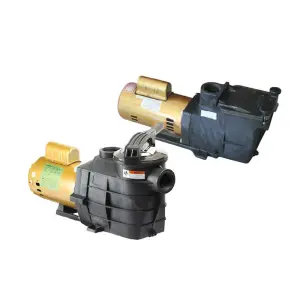 220V 3HP High Quality Swimming Pool Circulate Hayward Pool Pump