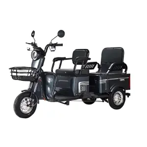 Electric Tricycle with 600W Rear Hub Motor Aluminum Frame Lead-Acid Battery Power Supply 3-Wheel Design
