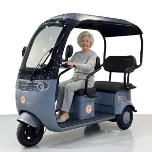 Cheap 3 Wheels Lithium Battery 3 Speed Double Row Seats Family Shuttle Passenger and Cargo Electric Tricycles